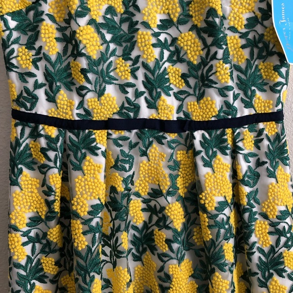 NWT Gorgeous green and yellow floral embroidered dress - Picture 6 of 10